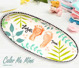 North San Jose Color Me Mine Tropical Baby Tray