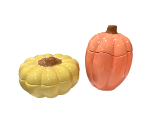 North San Jose Color Me Mine Fall Pumpkin Boxes
