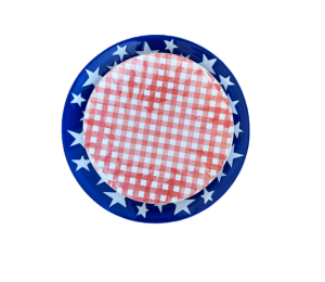 North San Jose Color Me Mine Patriotic Set